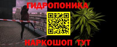 гашик Бузулук