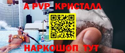 стаф Будённовск