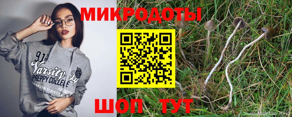 Тельмана  Галлюциногенные грибы Psilocybe  Вход с VPN  Галлюциногенные грибы ЛСД 